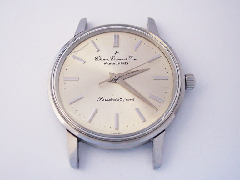 Citizen-Diamond-Flake-1